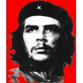 Che Guevara Biography